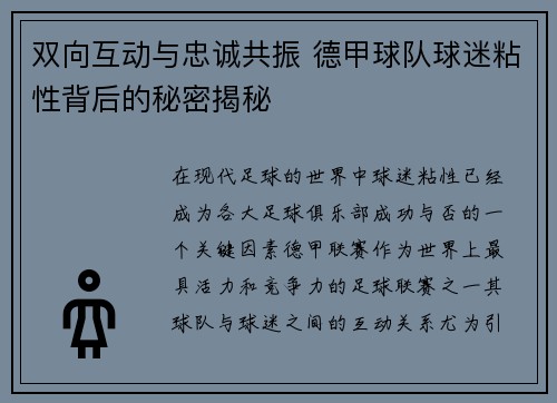 双向互动与忠诚共振 德甲球队球迷粘性背后的秘密揭秘